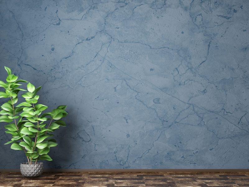 Empty room interior background, blue stucco wall, vase with plant 3d rendering